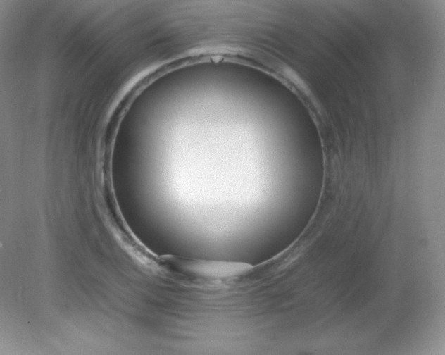 X0000082151124200702021628