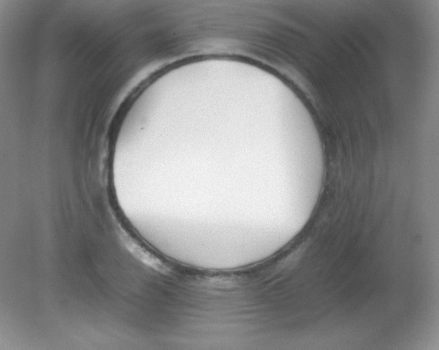 X0000082151126200702021628
