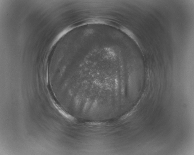 X0000082151127200702021628