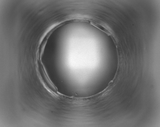 X0000082151128200702021628