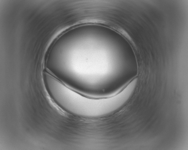 X0000082151132200702021628