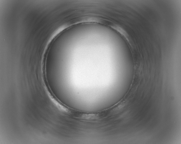 X0000082151135200702021628