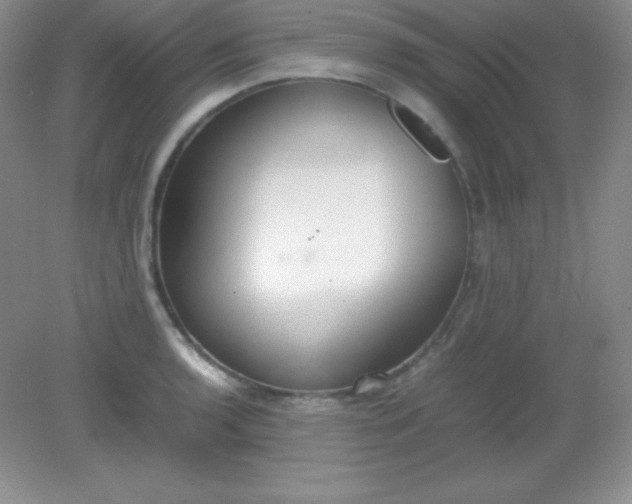 X0000082151136200702021628