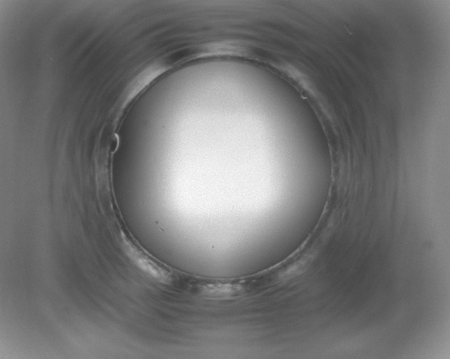 X0000082151137200702021628