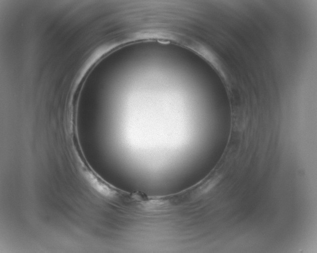 X0000082151140200702021628