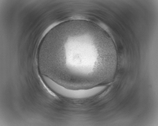 X0000082151141200702021628