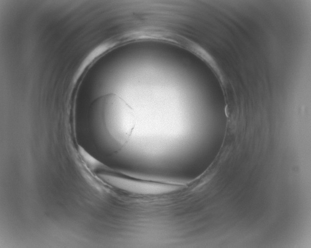 X0000082151146200702021628