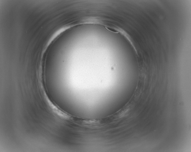 X0000082151147200702021628