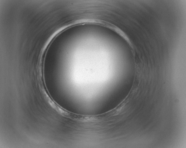 X0000082151148200702021628