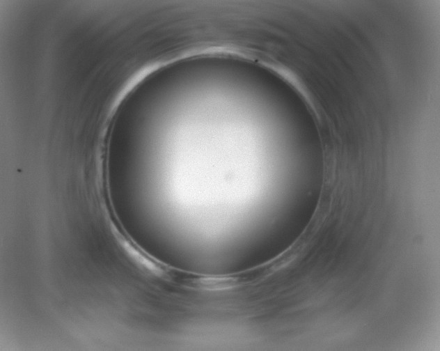 X0000082151151200702021628