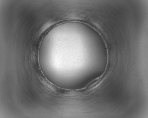 X0000082151163200702021627