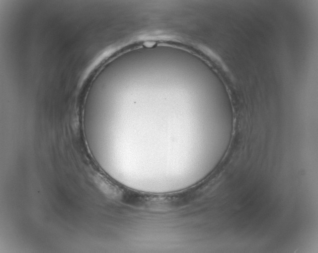 X0000082151167200702021627