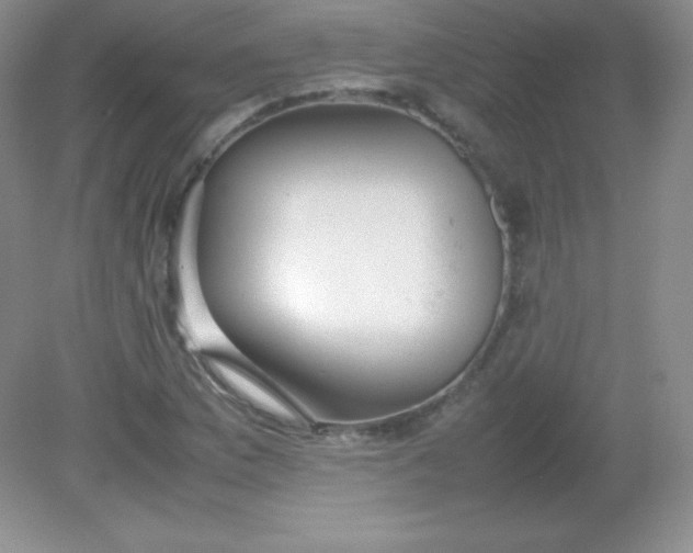 X0000082151169200702021627