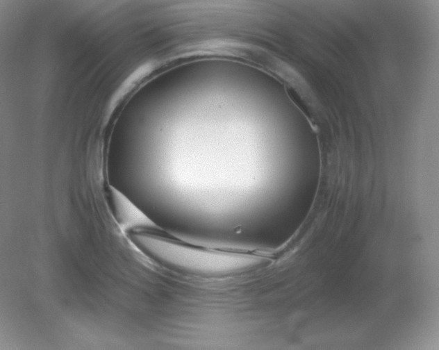 X0000082151180200702021627