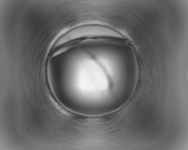 X0000082151181200702021627