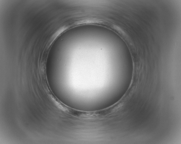 X0000082151185200702021627