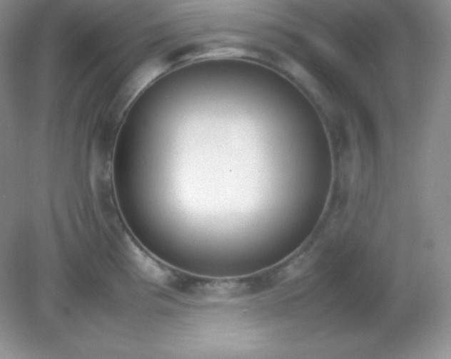 X0000082151193200702021627
