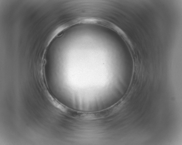 X0000082151194200702021627