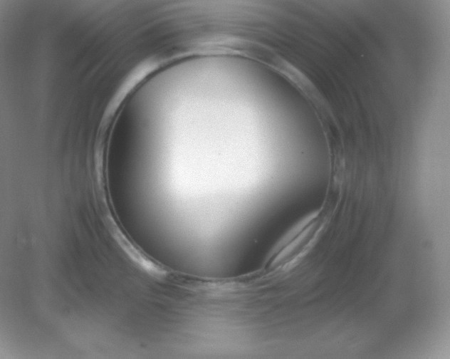X0000082151196200702021627