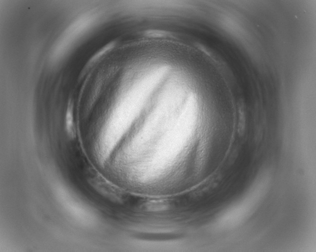 X0000082151198200702021627