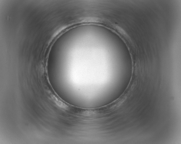 X0000082151212200702021626