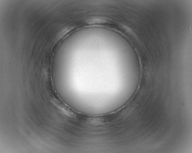 X0000082151217200702021626