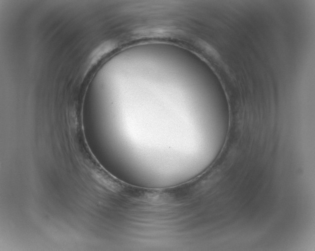 X0000082151218200702021626