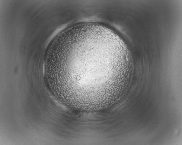 X0000082151221200702021626