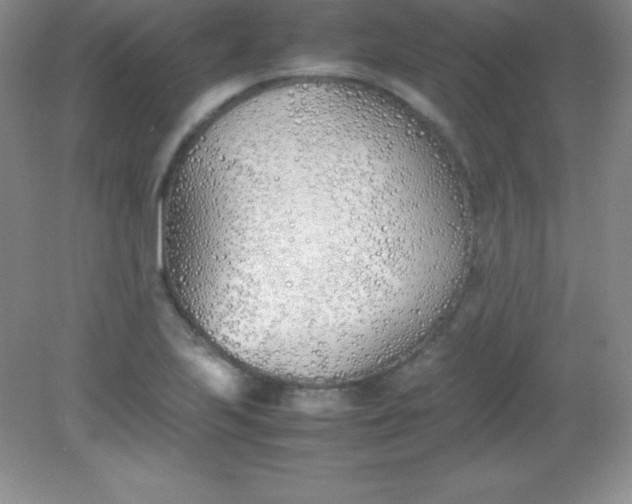 X0000082151223200702021626