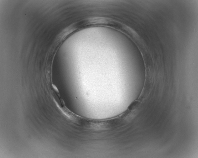 X0000082151225200702021626