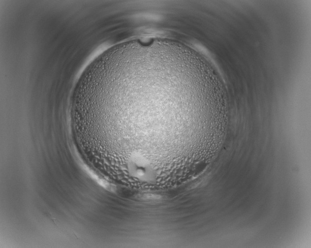 X0000082151235200702021626