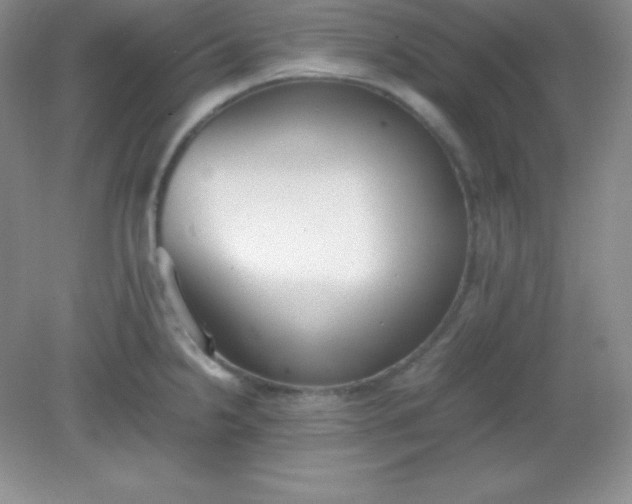 X0000082151238200702021627