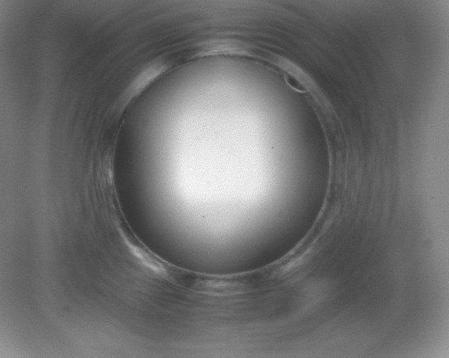 X0000082151241200702021627
