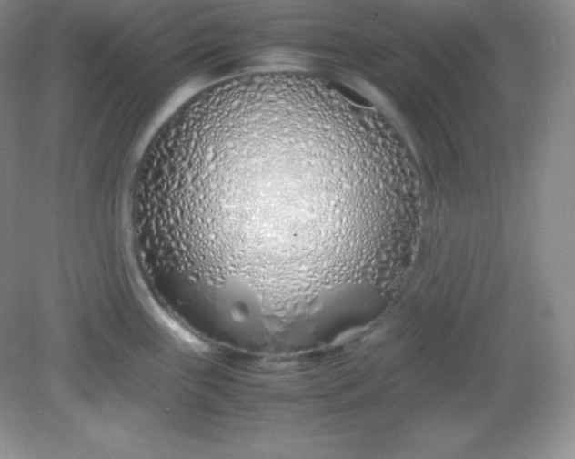 X0000082151243200702021627