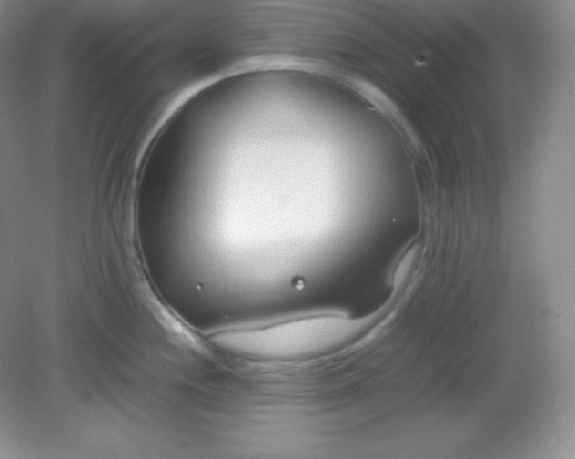X0000082151244200702021627