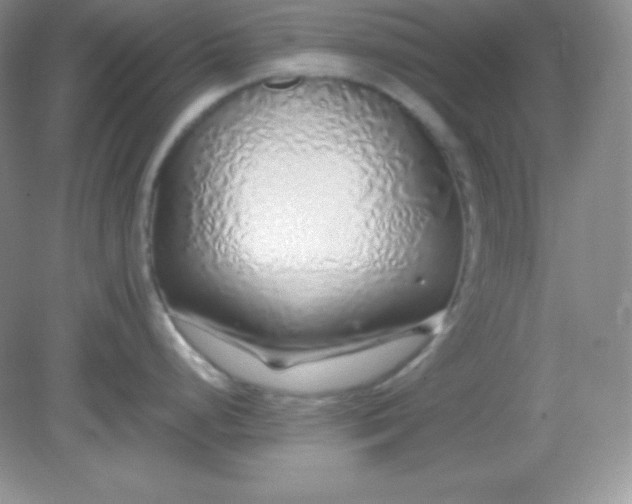 X0000082151248200702021627