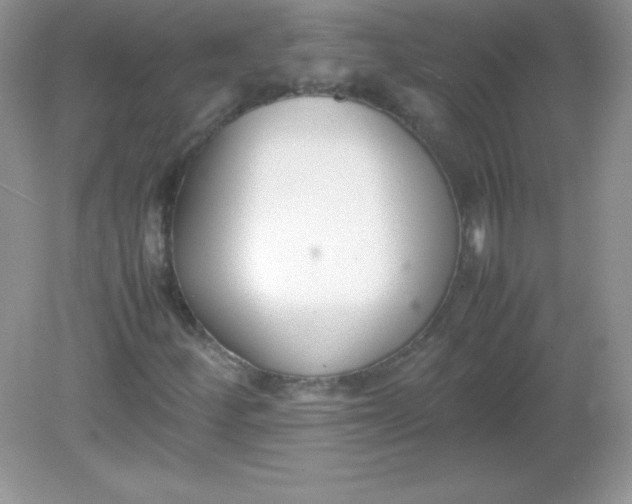X0000082151252200702021626