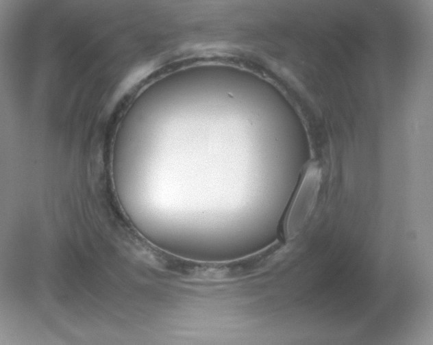 X0000082151261200702021626