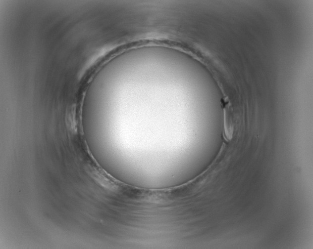 X0000082151262200702021626