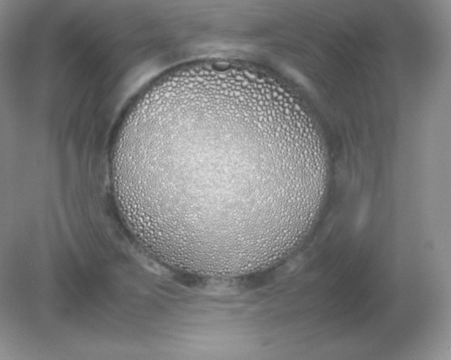 X0000082151267200702021626