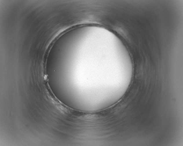 X0000082151268200702021626