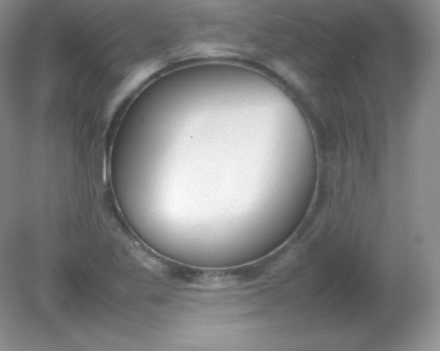 X0000082151269200702021626