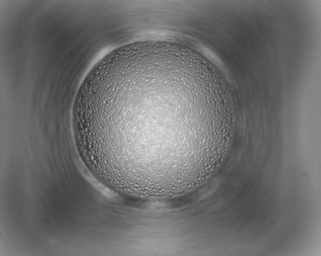 X0000082151283200702021625