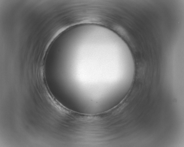 X0000082151284200702021625