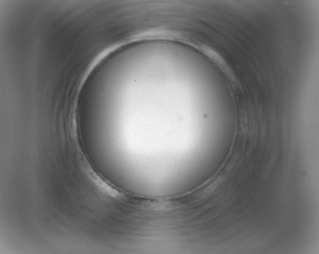 X0000082151288200702021625