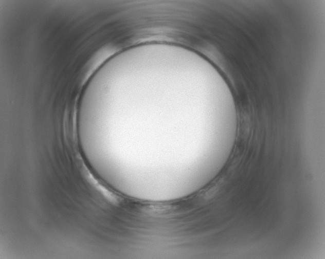 X0000082151290200702021625