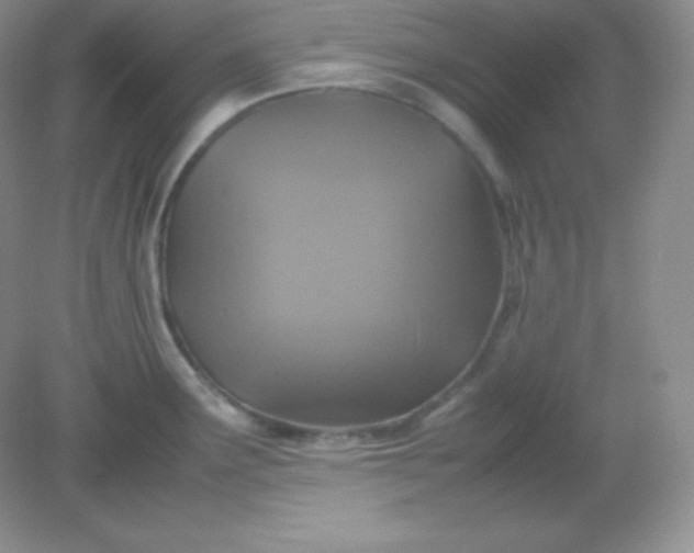X0000082151291200702021625