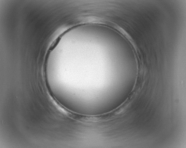 X0000082151293200702021625