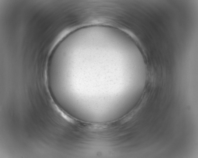 X0000082151294200702021625