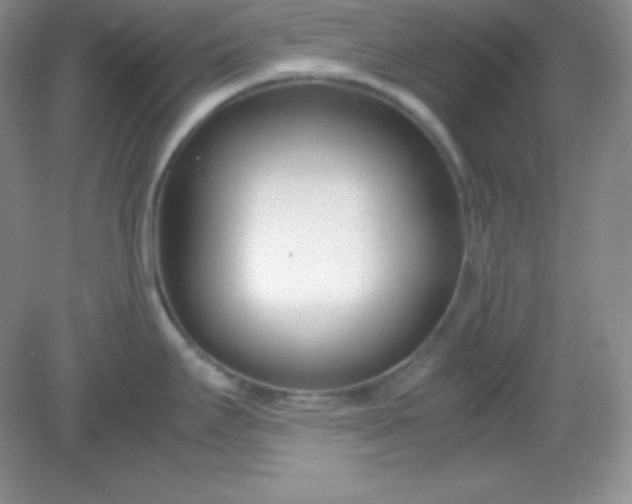 X0000082151295200702021625